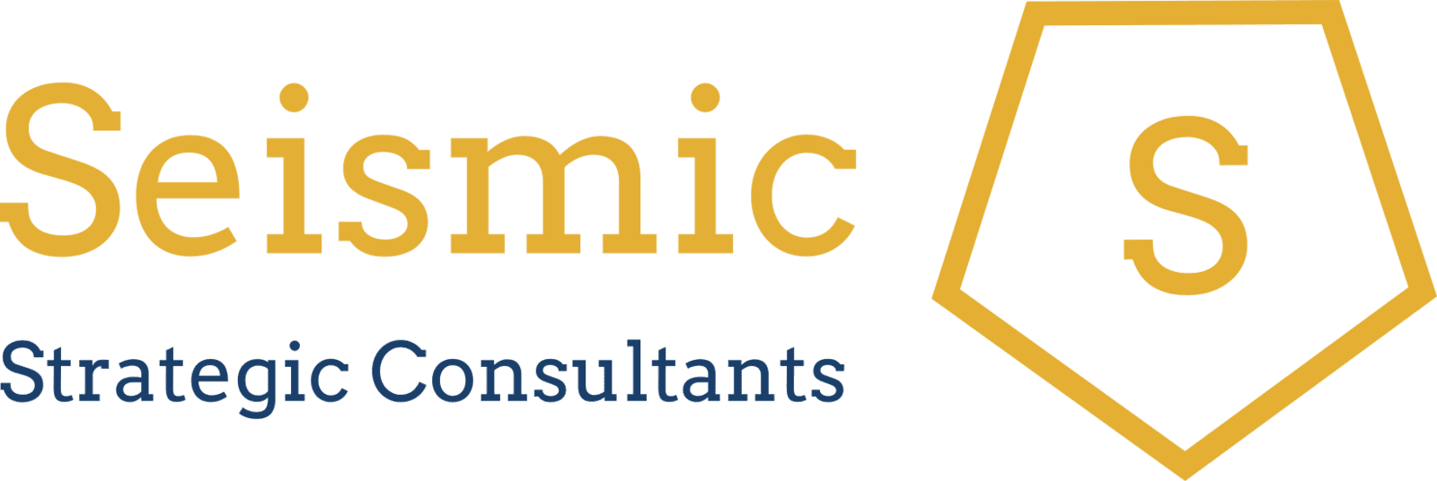 www.seismicstrategicconsultants.com